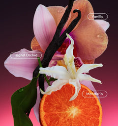 Daily Refresh Set G8