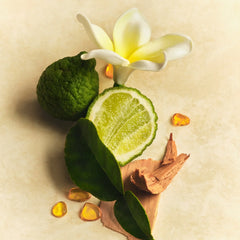Hair & Body Mist T0
