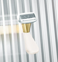 The Mini Razor Z1